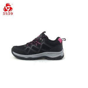 LW19181黑粉